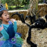 Tombstones
Hay Maze
Hay Ride
Visitors in Costumes